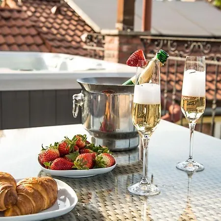 Apartment Glamorous Jacuzzi Loft With Roof Terrace Kosice